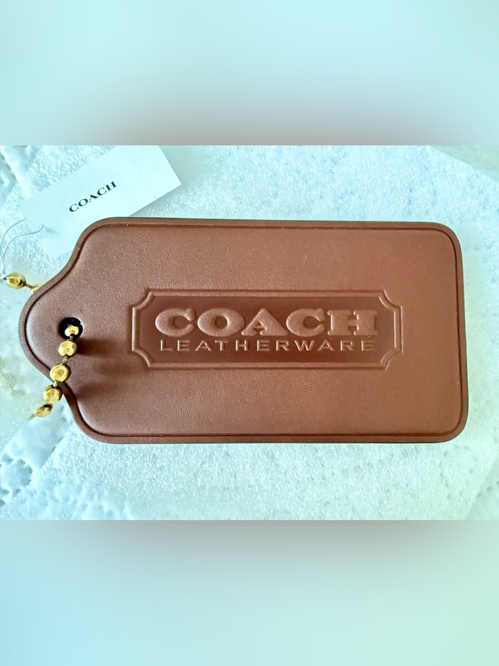 Coach XL Hangtag Bag Charm - Gem